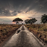 Buy canvas prints of Sunrise and showers on the road to Thornham by Gary Pearson