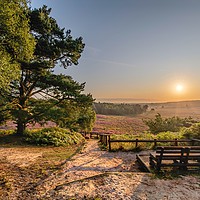 Buy canvas prints of Sunrise over Wolferton Fen and Dersingham bog by Gary Pearson