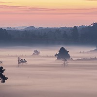 Buy canvas prints of A magical misty morning  by Gary Pearson