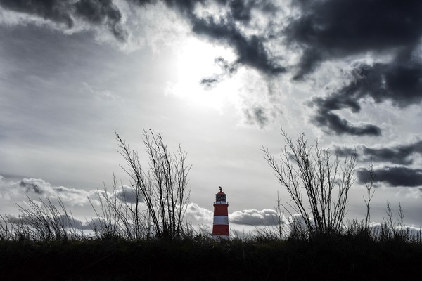 Happisburgh lighthouse  Picture Board by Gary Pearson
