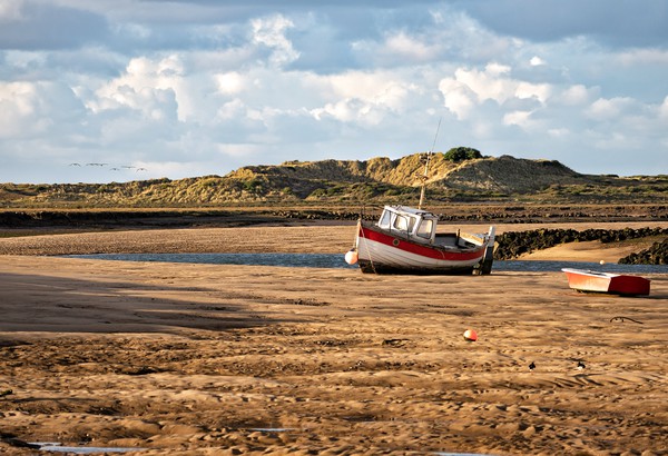 Low tide at Burnham Overy Staithe  Picture Board by Gary Pearson