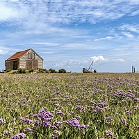 Buy canvas prints of Sea lavender surrounding the old coal barn by Gary Pearson