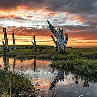 Buy canvas prints of Sunset colours over the Thornham stumps  by Gary Pearson