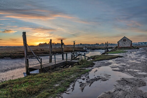 Sunrise at Thornham Picture Board by Gary Pearson