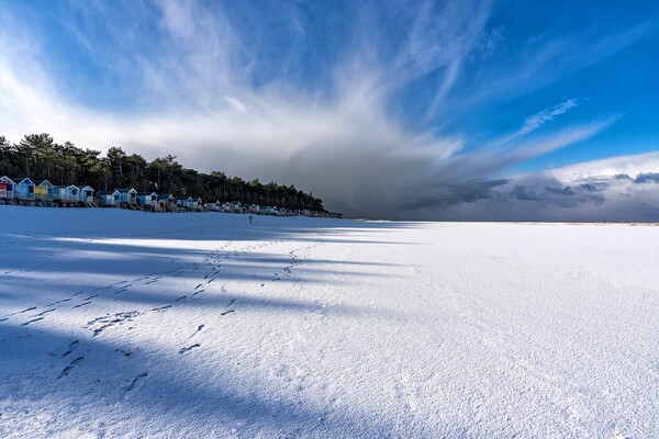 Snow covered Wells beach Picture Board by Gary Pearson