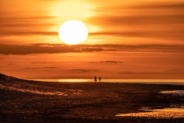 A sunset stroll on Holme beach  Picture Board by Gary Pearson