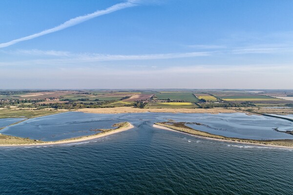 Looking toward Titchwell in Norfolk  Picture Board by Gary Pearson