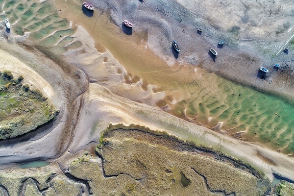 Looking down on Burnham Overy Staithe harbour  Picture Board by Gary Pearson
