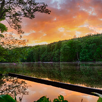 Buy canvas prints of Coppice Pond Sunset by Trevor Camp