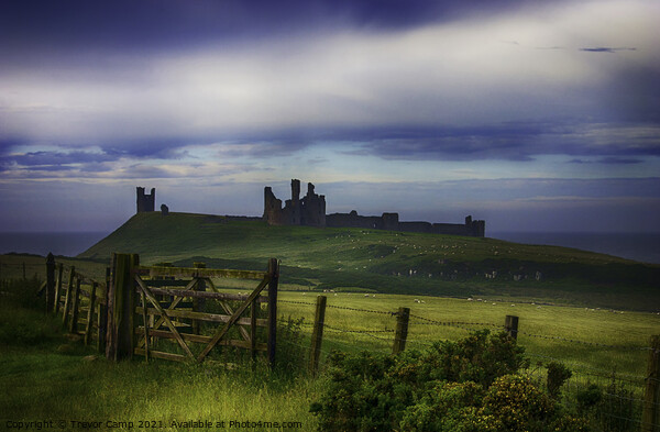 Dunstanburgh Castle, Northumberland Picture Board by Trevor Camp
