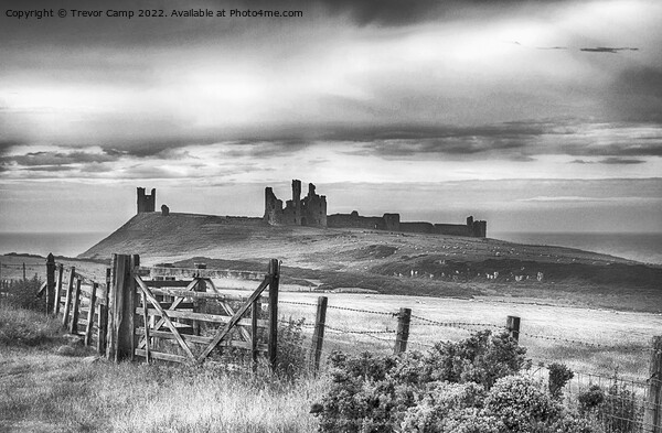 The Road to Dunstanburgh - Toned Picture Board by Trevor Camp