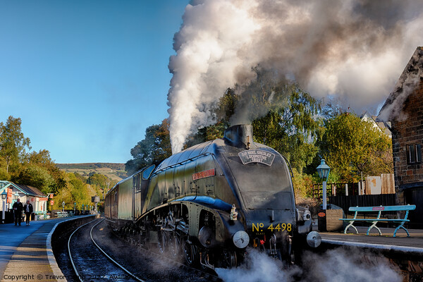 The Iconic Sir Nigel Gresley Picture Board by Trevor Camp