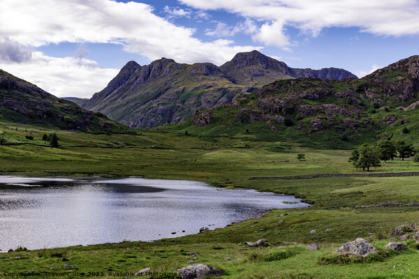 Serene Blea Tarn: Langdale’s Tranquil Beauty Picture Board by Trevor Camp