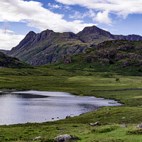 Buy canvas prints of Serene Blea Tarn: Langdale’s Tranquil Beauty by Trevor Camp