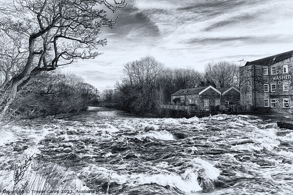 Torrential Force of Aire at Saltaire Picture Board by Trevor Camp