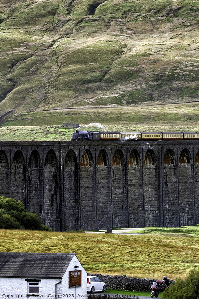 SNG over Ribblehead Picture Board by Trevor Camp