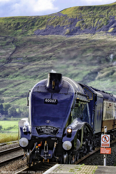 60007 at Ribblehead Picture Board by Trevor Camp