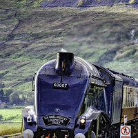 Buy canvas prints of 60007 at Ribblehead by Trevor Camp