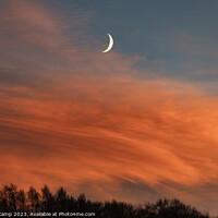 Buy canvas prints of Moonlit Sunset by Trevor Camp