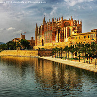 Buy canvas prints of Palma Cathedral by Trevor Camp