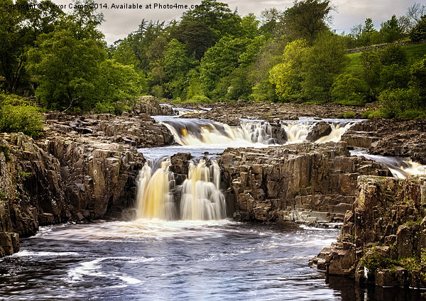 Low Force Picture Board by Trevor Camp