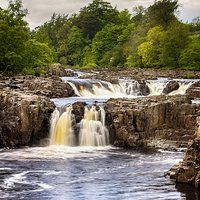 Buy canvas prints of Low Force by Trevor Camp