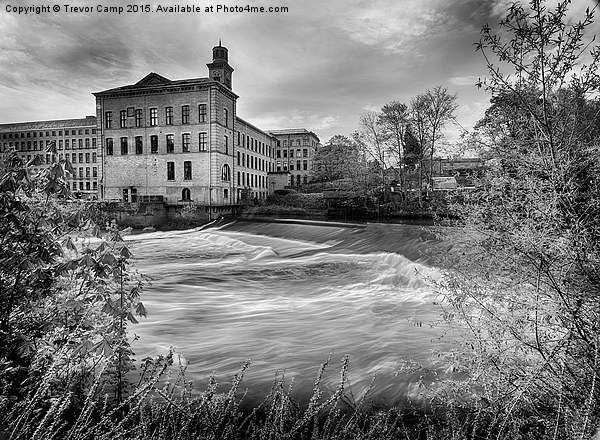  Salts Mill b&w Picture Board by Trevor Camp