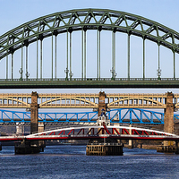 Buy canvas prints of Six Bridges Across The Tyne by Trevor Camp