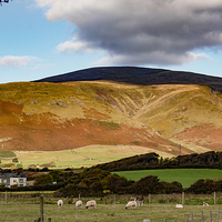 Buy canvas prints of Black Combe by Trevor Camp