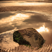 Buy canvas prints of Rockpool by Trevor Camp
