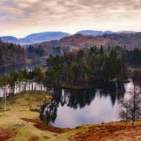Buy canvas prints of Tarn Hows Morning by Trevor Camp