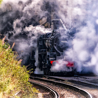 Buy canvas prints of Steam On by Trevor Camp