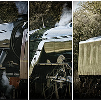 Buy canvas prints of Flying Scotsman Triptych by Trevor Camp