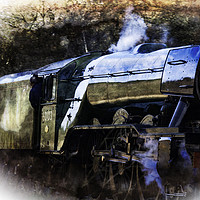 Buy canvas prints of Flying Scotsman by Trevor Camp