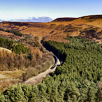 Buy canvas prints of Scotsman in the Dale by Trevor Camp