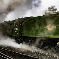 Buy canvas prints of Flying Scotsman by Trevor Camp