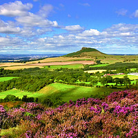 Buy canvas prints of Roseberry Heather by Trevor Camp