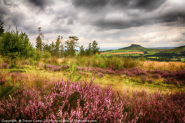 The Enchanting Roseberry Topping Picture Board by Trevor Camp