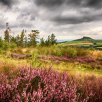 Buy canvas prints of The Enchanting Roseberry Topping by Trevor Camp