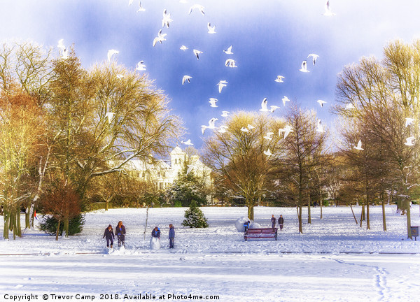 Snow Fun in the Park Picture Board by Trevor Camp