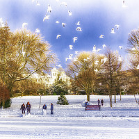 Buy canvas prints of Snow Fun in the Park by Trevor Camp