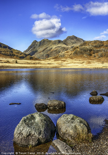 Langdale Pikes from Blea Tarn Picture Board by Trevor Camp