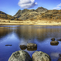 Buy canvas prints of Langdale Pikes from Blea Tarn by Trevor Camp