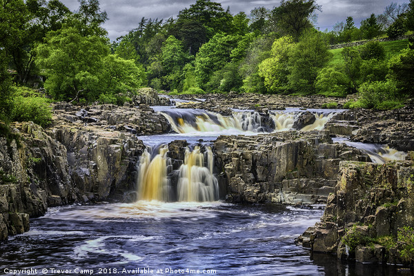 Low Force, River Tees Picture Board by Trevor Camp