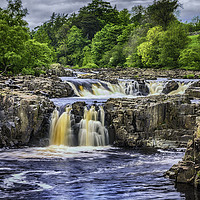 Buy canvas prints of Low Force, River Tees by Trevor Camp