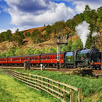 Buy canvas prints of Repton at Levisham by Trevor Camp