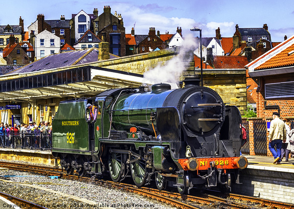 Repton at Whitby Picture Board by Trevor Camp