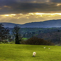 Buy canvas prints of Lake District Sunny Interval by Trevor Camp