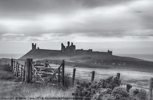 Ruins of Dunstanburgh Castle Picture Board by Trevor Camp