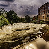 Buy canvas prints of Disturbance at Mill by Trevor Camp
